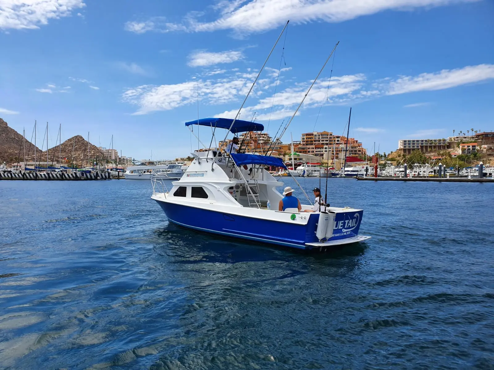 blue-tail view 2