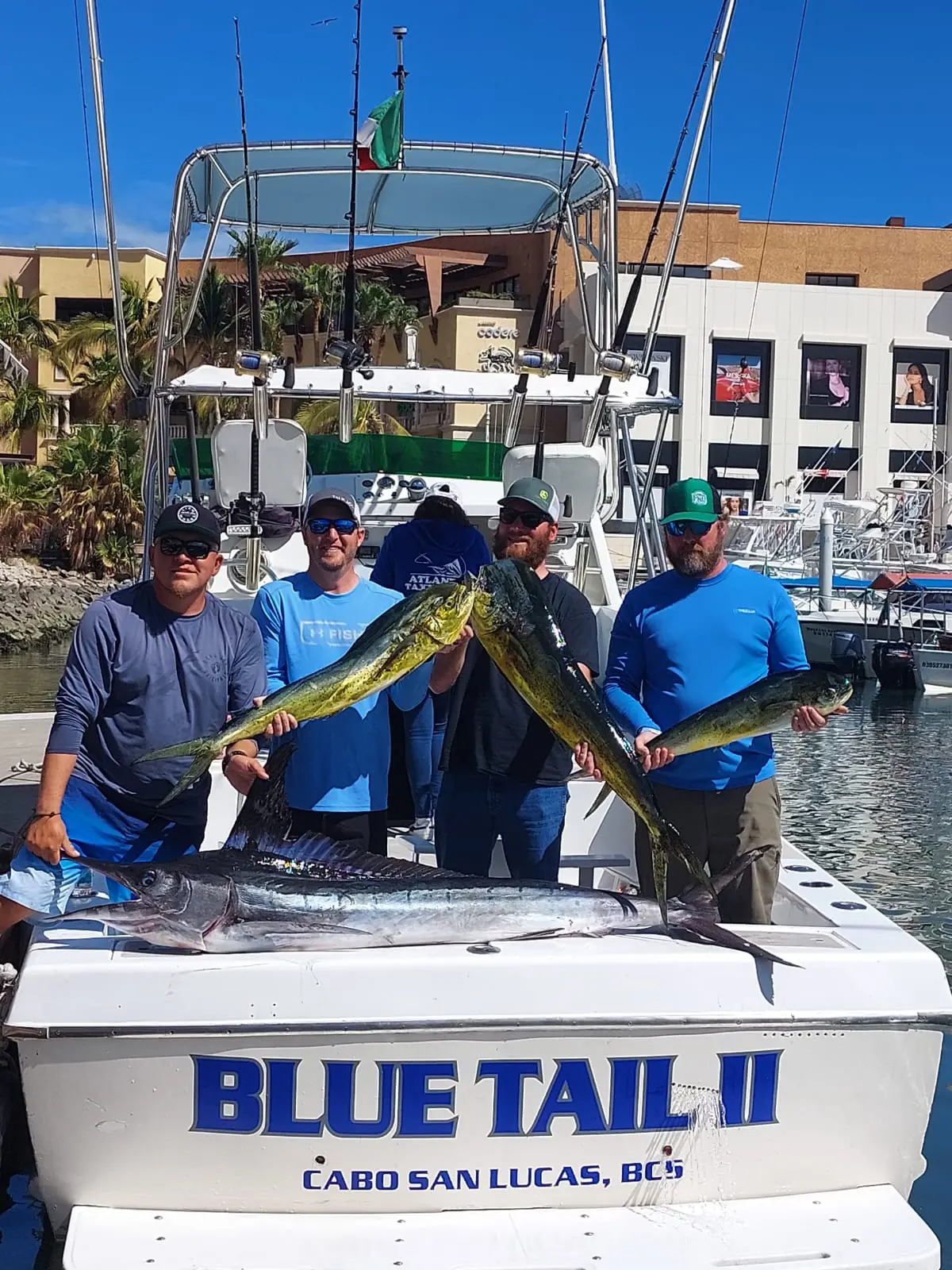 blue-tail-ii view 1