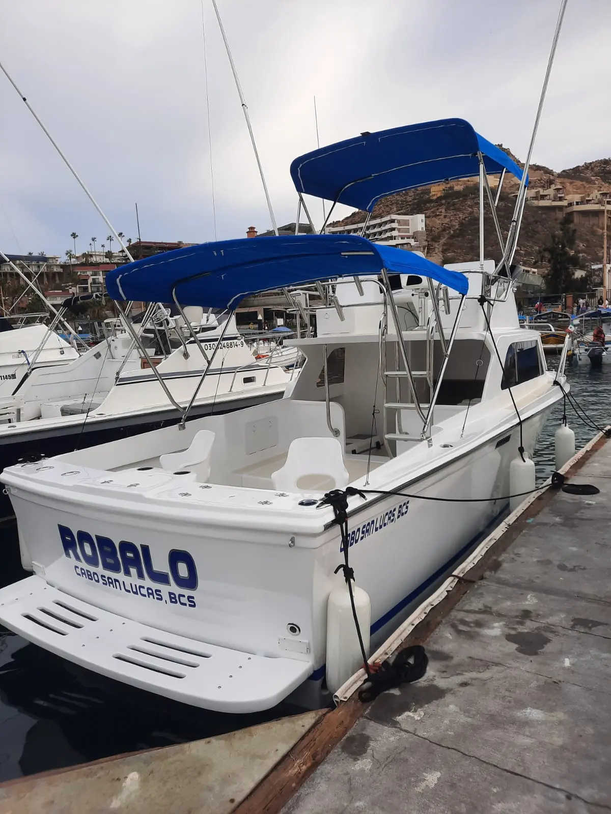 robalo view 1