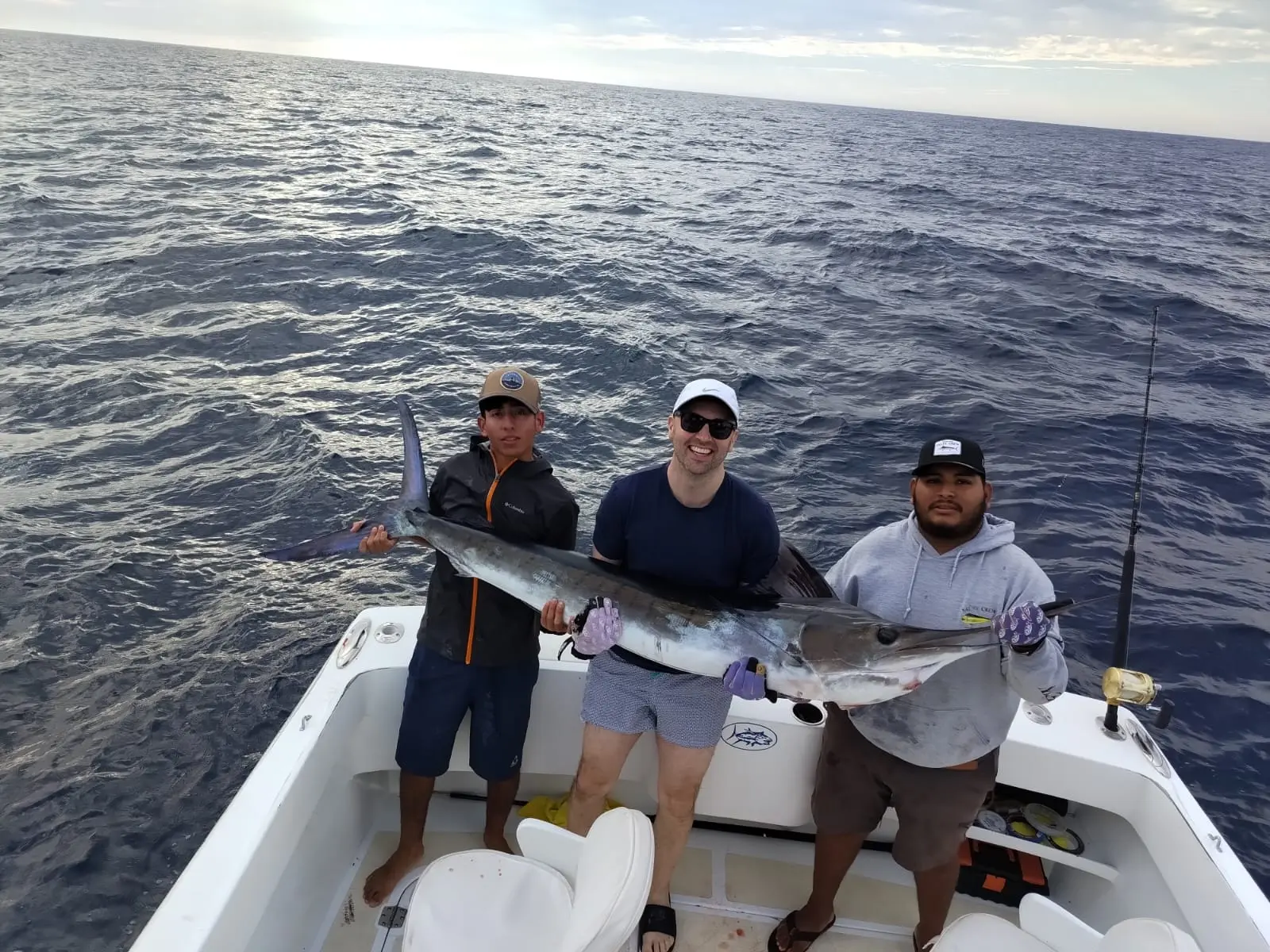 Roosterfish catch near Cabo shore