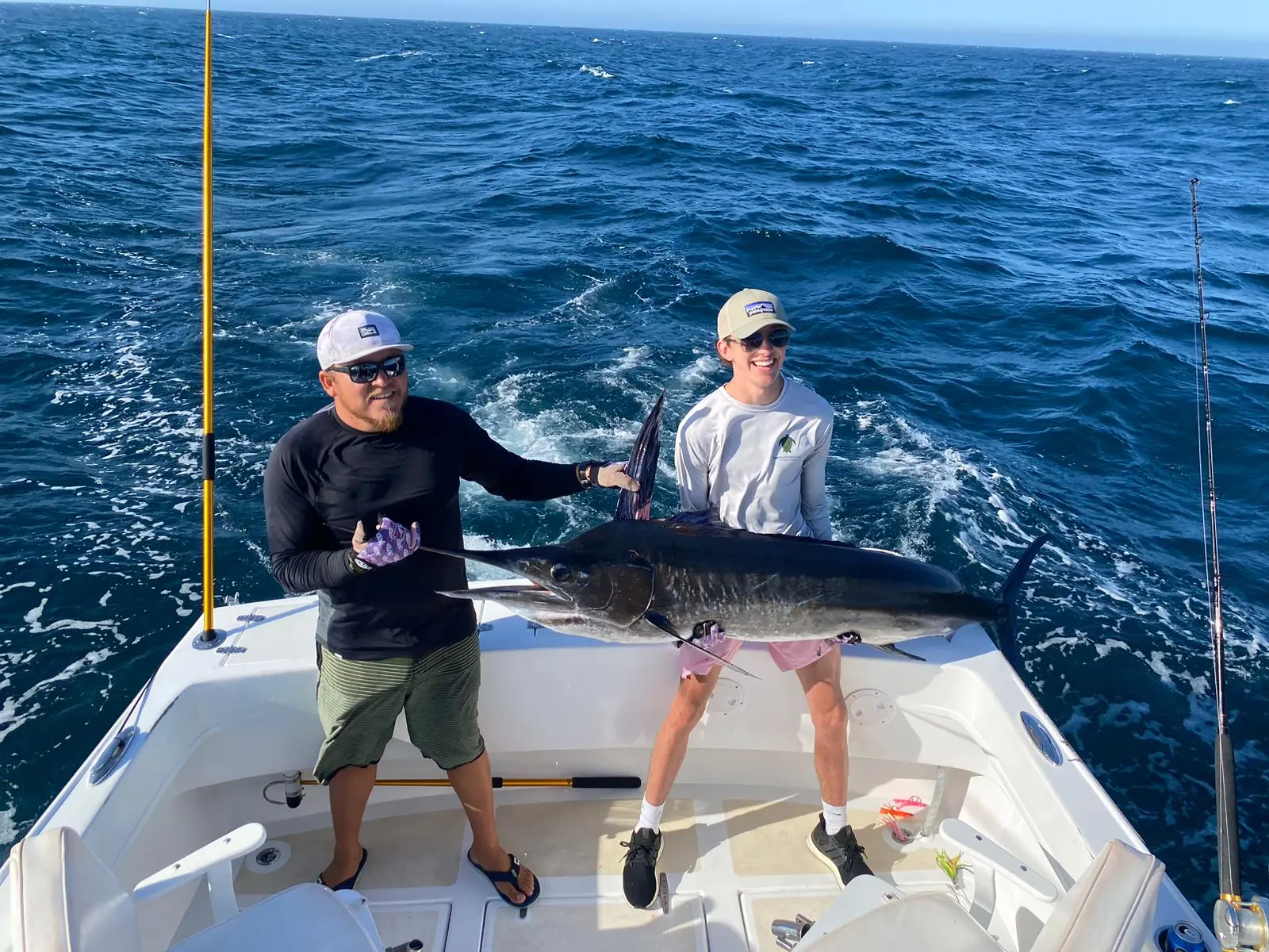 Striped marlin catch and release